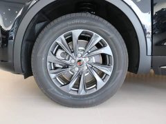 Ora Hongqi HS5 2025 2.0T two-wheel drive 600,000 units commemorative edition - ფოტო 16