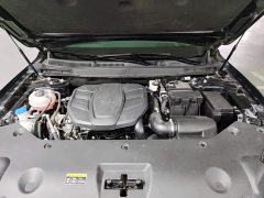 Hongqi HS5 2.0T Qixiang Pro version - ფოტო 20