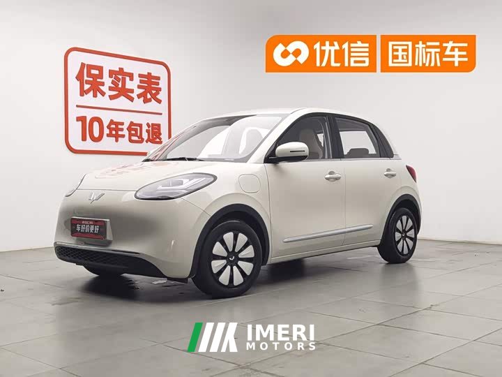 Wuling Bingo 333km Yuexiang