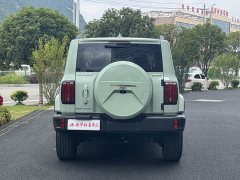 Tank 300 2021 City Edition 2.0T Stylish - ფოტო 5