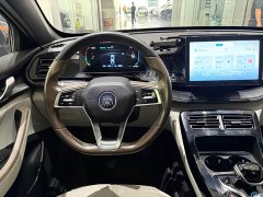 BYD Qin PLUS Champion Edition DM-i 55KM Leading Type - ფოტო 8