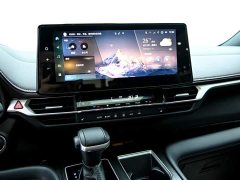 Grevia 2.5L hybrid premium PLUS four-wheel drive version - ფოტო 19