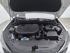 Ford EADO PLUS Blue Whale NE 1.4T GDI DCT Premium Type - ფოტო 6