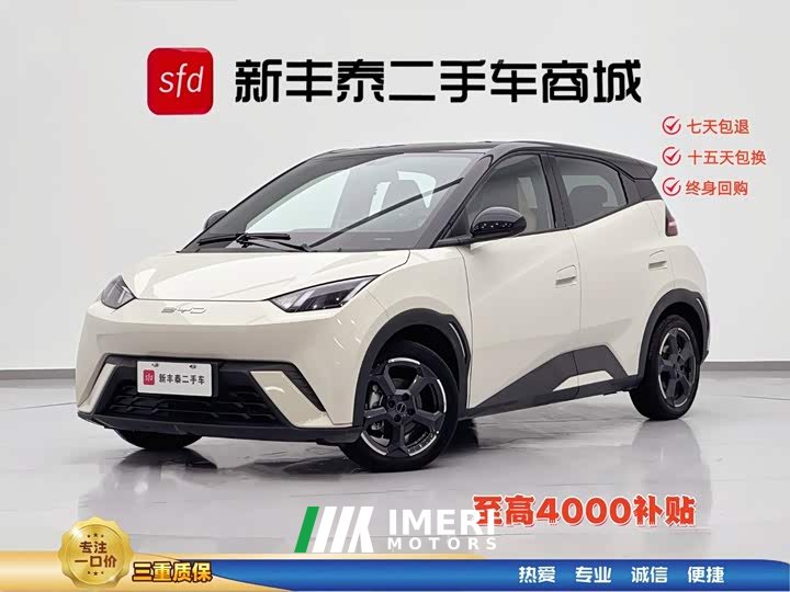 BYD Seagull Honor Edition 305km Free Edition