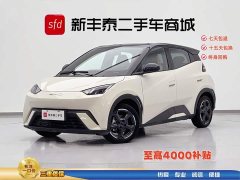 BYD Seagull Honor Edition 305km Free Edition - ფოტო 1