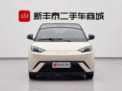 BYD Seagull Honor Edition 305km Free Edition - ფოტო 2