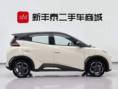 BYD Seagull Honor Edition 305km Free Edition - ფოტო 3