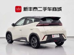 BYD Seagull Honor Edition 305km Free Edition - ფოტო 6