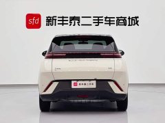BYD Seagull Honor Edition 305km Free Edition - ფოტო 7