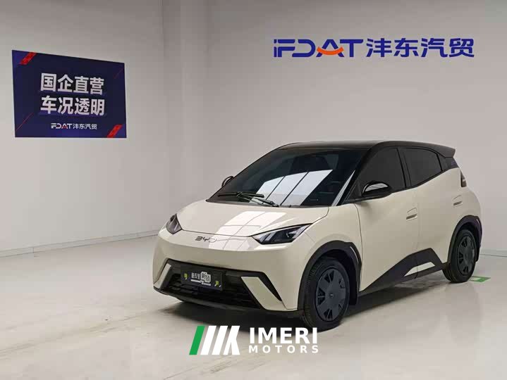 BYD Seagull 305km active version