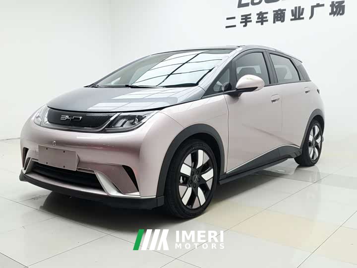 BYD Dolphin 2021 401km Rider Edition