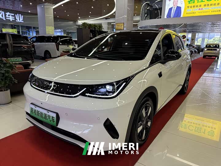 BYD Dolphin smart driving version 410km fashion version