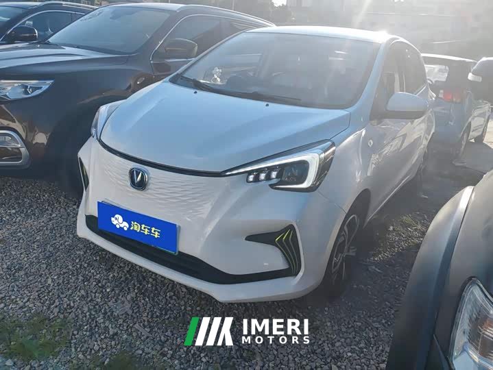 Changan Benben E-Star 2020 Heartbeat Edition ternary lithium