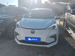 Changan Benben E-Star 2020 Heartbeat Edition ternary lithium - ფოტო 2
