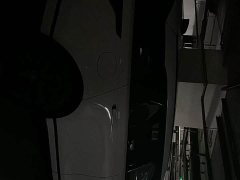 Land Rover Range Rover Velar 250PS Dynamic SE - ფოტო 6