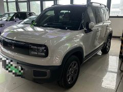 Baojun Yueye Plus 301km flagship version - ფოტო 1