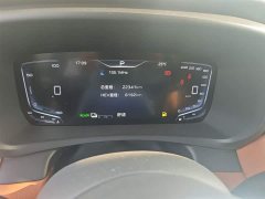 Hongqi HQ9 PHEV 2.0T four-wheel drive business version - ფოტო 12