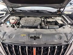 Hongqi HS5 2.0T Qixiang Pro version - ფოტო 20