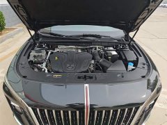 Hongqi H5 2.0T Automatic Zhilianqichang Edition - photo 20