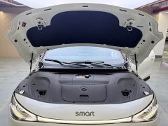 smart Elf #3 Pulse four-wheel drive version - ფოტო 13