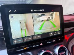 smart Elf #3 Pulse four-wheel drive version - ფოტო 9