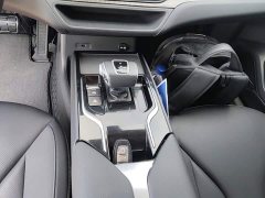 Hongqi E-QM5 2021 Charging T3 version 4 seats - ფოტო 14