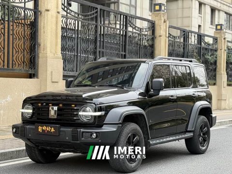 2022 Tank 300 2021 Off-Road Edition 2.0T Conqueror - ავტომობილი ჩინეთიდან
