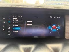 Tank 300 2021 Off-Road Edition 2.0T Conqueror - ფოტო 19