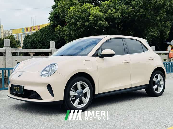 Ora Euler Good Cat 430km Honor Type - ავტომობილი ჩინეთიდან