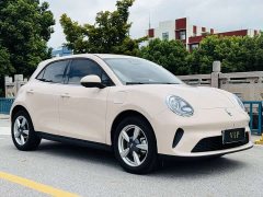 Ora Euler Good Cat 430km Honor Type - ფოტო 4