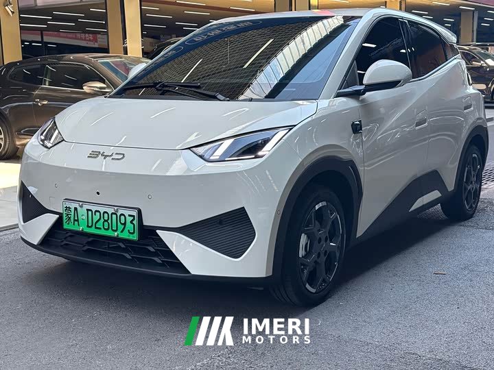 BYD Seagull smart driving version 305km free version - ავტომობილი ჩინეთიდან
