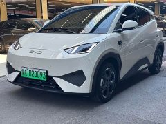 BYD Seagull smart driving version 305km free version - ფოტო 1