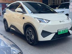 BYD Seagull smart driving version 305km free version - ფოტო 3