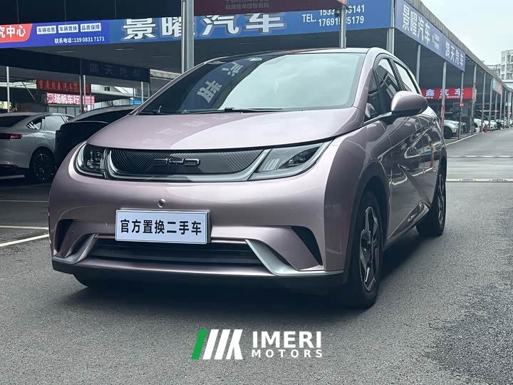 BYD Dolphin 2021 405km fashion version