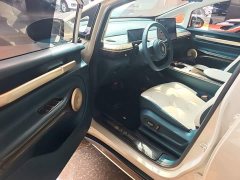 Baojun Yunduo 2023 460 Pro - ფოტო 16