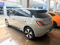 Baojun Yunduo 2023 460 Pro - ფოტო 5