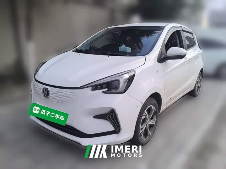 Changan Benben E-Star 2020 Heartbeat Edition ternary lithium