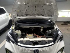 Changan Benben E-Star 2020 Heartbeat Edition ternary lithium - ფოტო 20