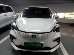 Changan Benben E-Star 2020 Heartbeat Edition ternary lithium - ფოტო 3