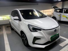 Changan Benben E-Star 2020 Heartbeat Edition ternary lithium - ფოტო 4