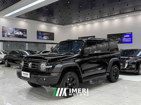 2023 Tank 300 Off-Road Edition 2.0T Conqueror - ავტომობილი ჩინეთიდან