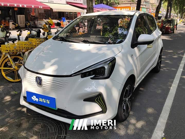 Changan Benben E-Star 2020 Xinyue Edition ternary lithium