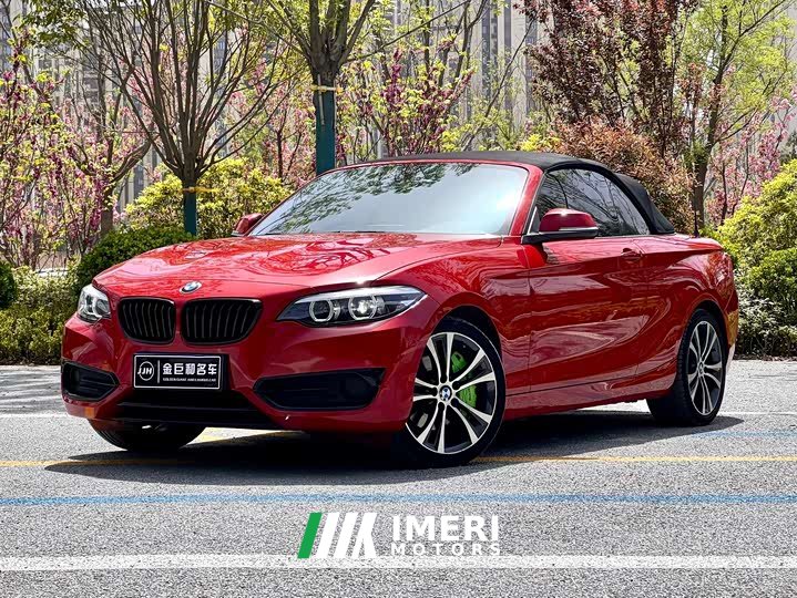BMW 2 Series (Imported) 2019 225i Convertible Coupe Sports Design Package