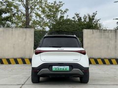 smart Elf #1 2022 Premium Edition - ფოტო 10