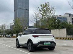 smart Elf #1 2022 Premium Edition - ფოტო 4