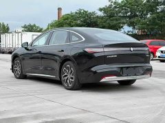 Baojun Xiangjing 2025 pure electric 600km special car version - ფოტო 7