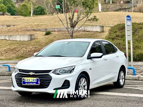2021 Haval 325T Edition - ავტომობილი ჩინეთიდან
