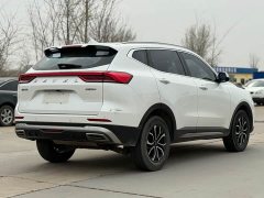 Haval H6 2021 National Trend Edition 1.5T Automatic Urban Version - ფოტო 11
