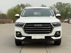 Haval H6 2021 National Trend Edition 1.5T Automatic Urban Version - ფოტო 2