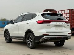 Haval H6 2021 National Trend Edition 1.5T Automatic Urban Version - ფოტო 9